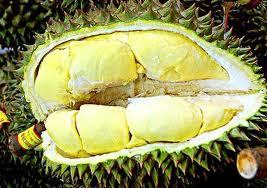 jealous wives use the cover of durian to make their husbands knee on if they know their husbands have girlfriend in ~ 1995